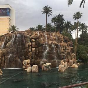 Meet your Posher, Theressa